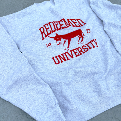 "REDEEMED UNIVERSITY" RED